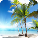 com.palmspringswallpaper.wallpaper.hdwallpaper