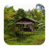 ir.appwork.livewalltabiat