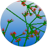 net.sourceforge.smallbasic