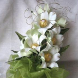 ir.asystem.amozshgolsazivagolaraeefree