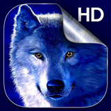 com.DreamWolfLiveWallpaperHD