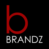 com.gbs.brandz
