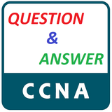 bone7.ccnaqa