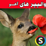 com.Sadroid.PhotoAhoo