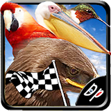 com.darie.birdrace