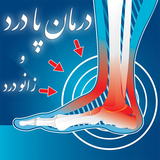 com.alireza.zanoodarda