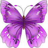 com.DoodleText.icons.pack.butterfly