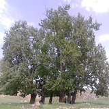com.ehsan.dashtak