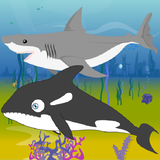 com.kgtasarim.KillerWhaleSharkAttack
