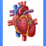 com.andromo.dev774558.app988636