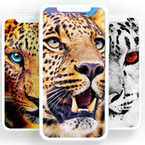 com.otmstudio.leopardwallpaper.leopardbackground