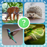 com.questions.quiz.trivia.games.animals.quiz.zoo.fish.birds.mammals.insects