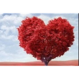 ir.ezdevaj.khanevadeh