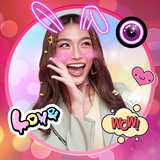 com.bsoft.photoeditor.catface