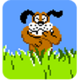 ir.blog.arvant.duckhunter
