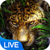 live.wallpaper.t910001175