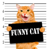 funnyanimals.animal.videos