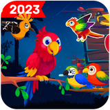 mbirds.sortpuzbirds.puzzleebirds.sortingrex