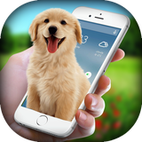 zohani.app.dogscreen