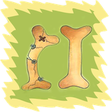 khoshgoftar.ali.Osteoporosis