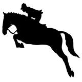 com.horse.riding
