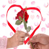 sekandari.app.ham.sarane