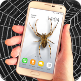 com.perfectapps.spideronscreenprank
