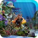com.xw.art.aquarium3d