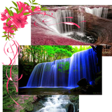 com.somaye.saf