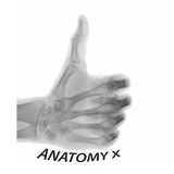 cl.MedicalApp.AnatomiaRadiologica13