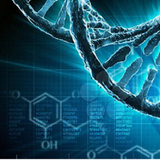 ir.kingkotttlin.biology