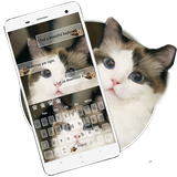 keyboard.theme.cute.cat.gato