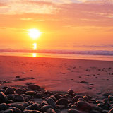 com.landscapelwp.oceansunset