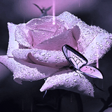 com.dakshapps.dewypurplebutterfly