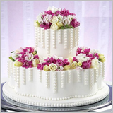 karel.taziinatkiko.shirinyx