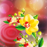 com.amaxlwps.waterdrops