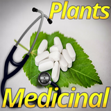 com.medicinal.plants.and.its.uses.app