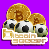 com.mustafademirer.bitcoinsoccer