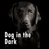 jp.co.a_tm.android.plus_dog_in_the_dark