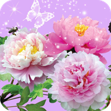 com.flowers.wallpaper.flowersdulalwallpaper