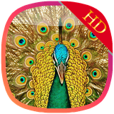 com.glh3.birdswallpaper