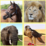 az.ivytech.animals_en