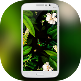 aa.galaxy.s8.s7.j7.j3.j9.c5.c7note.plus.edge.theme.launcher
