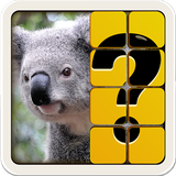 com.mobiloids.guessthepicture