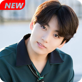 com.faizytech.bts.jk.wallpaper