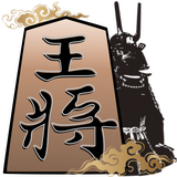 com.threshold.playshogi2