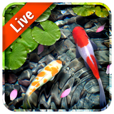 mobi.infolife.ezweather.livewallpaper.kol.acquarium