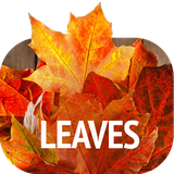 com.david_wallpapers.leaves