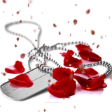 com.iaumprogrammer.mashhadmartyrs