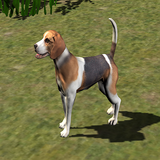 com.kidsfun.RealAnimals